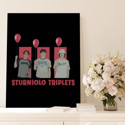 446e9508183852ffa893d41ce6f730bd - Sturniolo Triplets Store