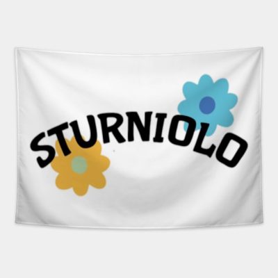 Sturniolo Triplets Tapestry Official Sturniolo Triplets Merch