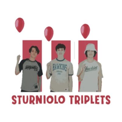 Sturniolo Triplets Tapestry Official Sturniolo Triplets Merch