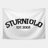 Sturniolo Triplets Tapestry Official Sturniolo Triplets Merch