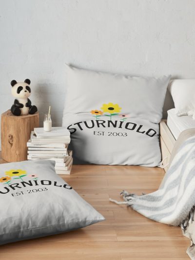 Sturniolo Triplets Merch Sturniolo Triplets Pullover Hoodie Pullover Sweatshirt Throw Pillow Official Sturniolo Triplets Merch