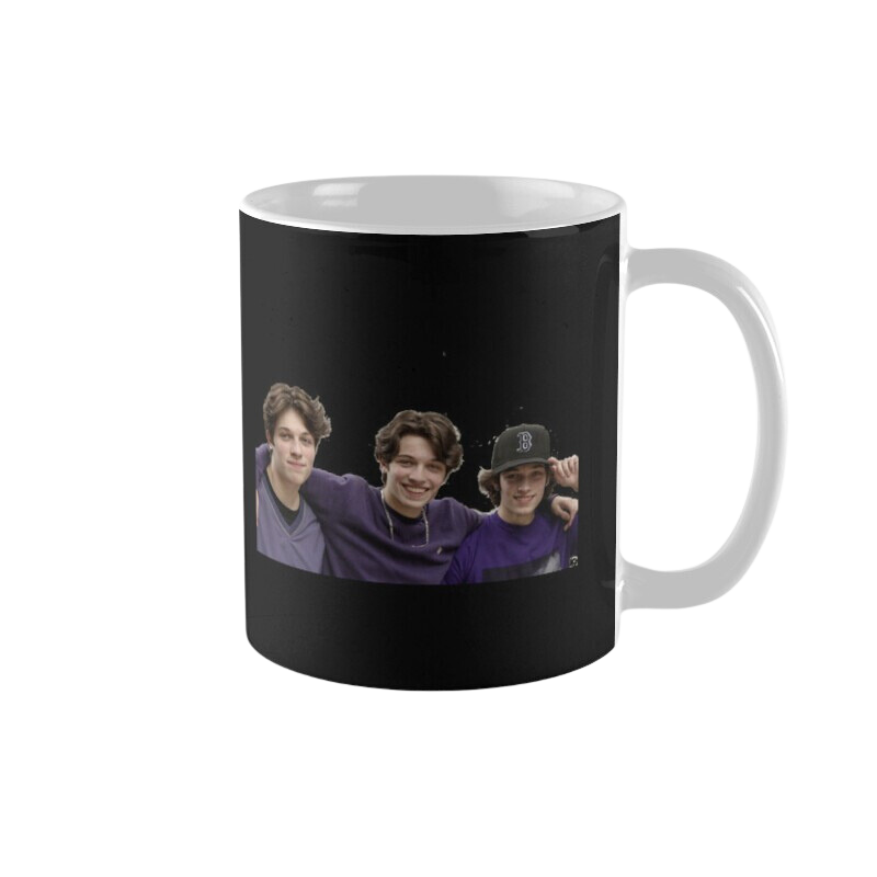 Sturniolo Triplets mug collection